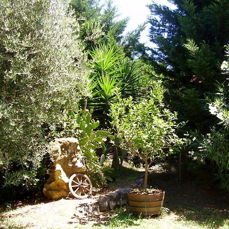 Podere Belvedere Cecina Cecina  Εξωτερικό φωτογραφία