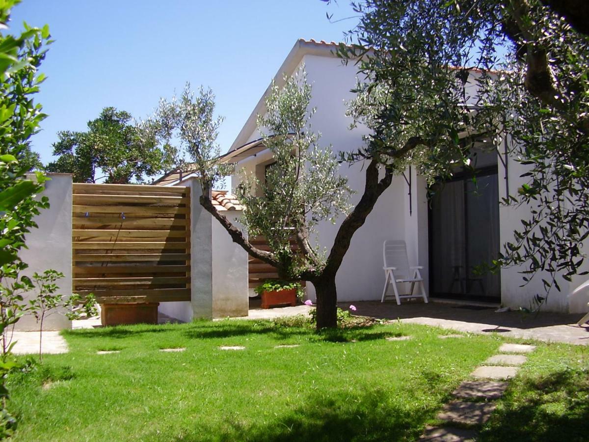 Podere Belvedere Cecina Cecina  Εξωτερικό φωτογραφία