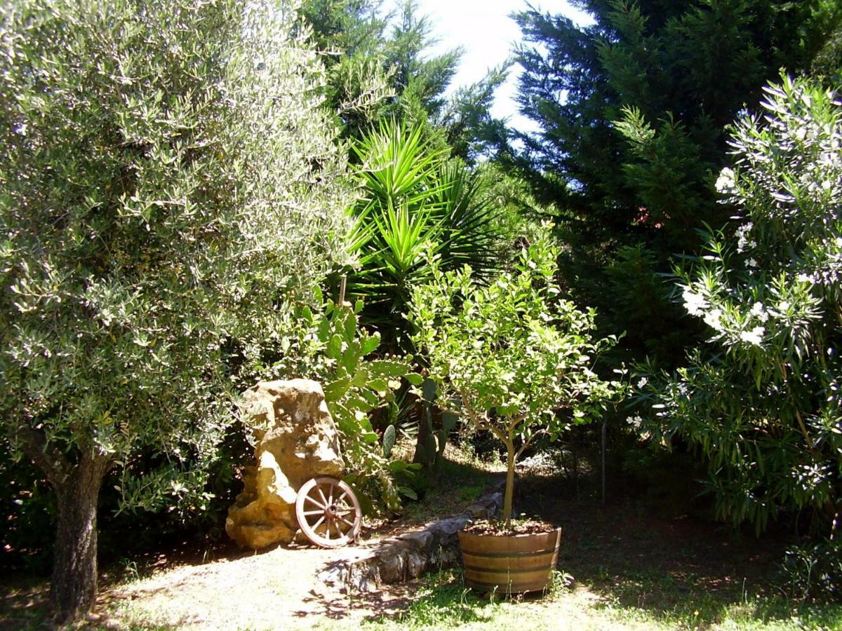 Podere Belvedere Cecina Cecina  Εξωτερικό φωτογραφία