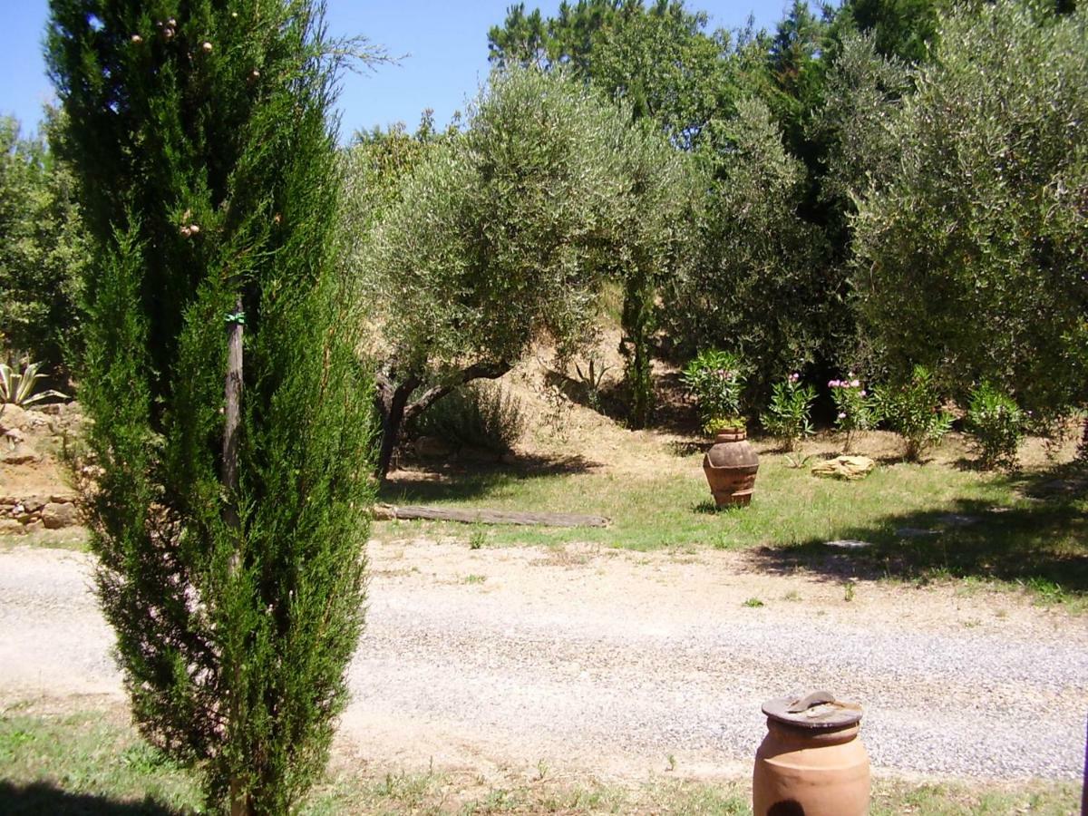Podere Belvedere Cecina Cecina  Εξωτερικό φωτογραφία